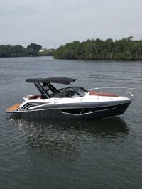 Onix290 targa