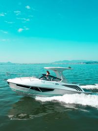 ONIX 290 T-TOP